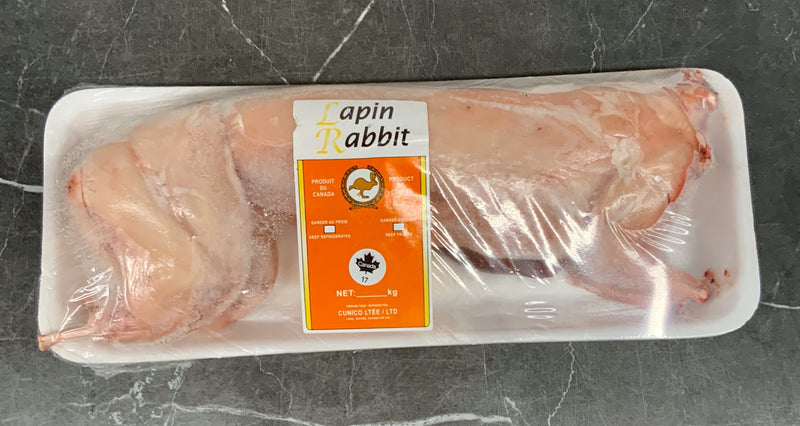 RABBIT